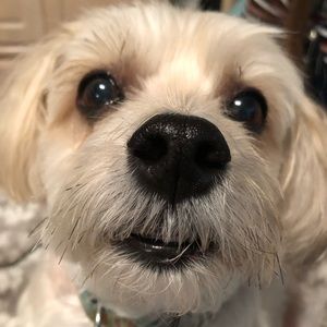 ❤️Offers Encouraged❤️